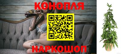 СК Конаково